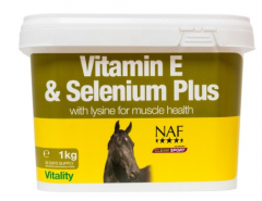 Horse Supplements