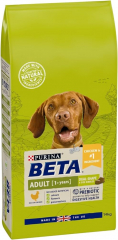 Dry Dog Food