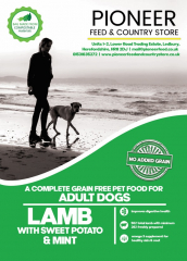 Pioneer Grain Free Lamb