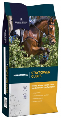 Dodson & Horrell Staypower Cubes 20kg