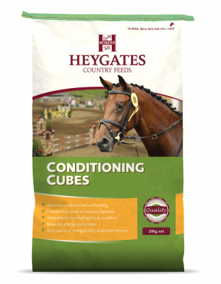 Heygates Condition Cubes