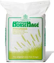 Horsehage Ryegrass GREEN